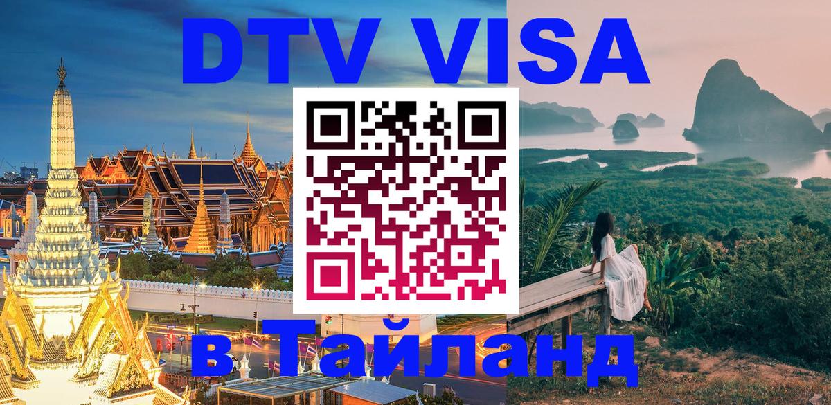 Оформление DTV визы под ключ: стоимость и тарифы, только загранпаспорт - 04.10.2025 